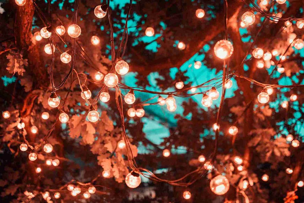How to Put Lights on an Outdoor Tree